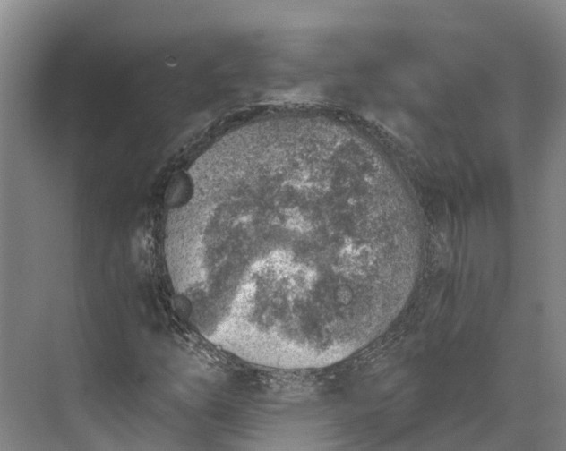 X0000072951254200608041258