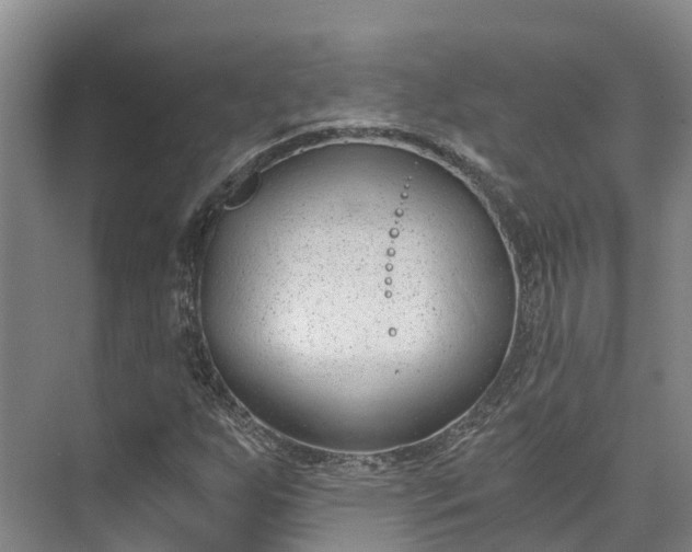 X0000072951255200608041258