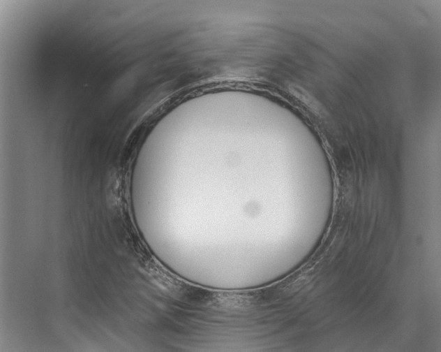 X0000072951258200608041258