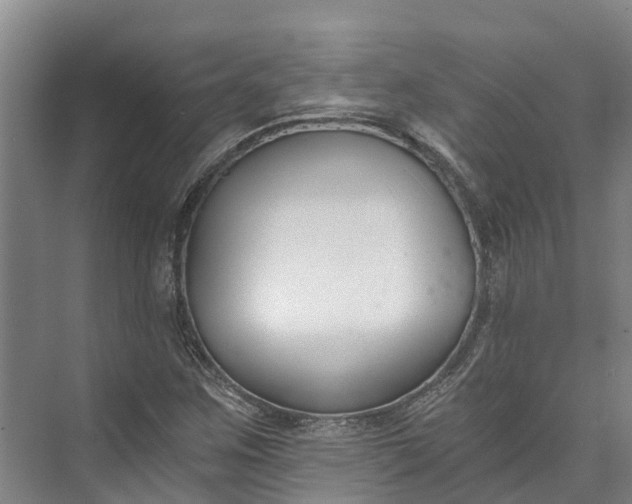 X0000072951259200608041258