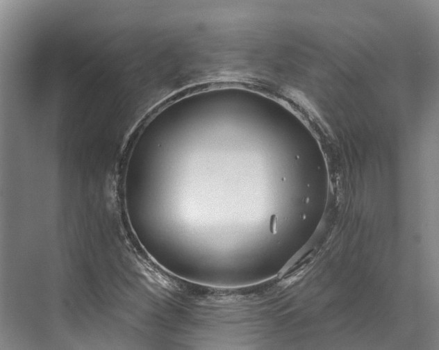 X0000072951260200608041258