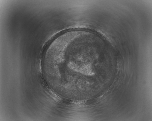 X0000072951262200608041258