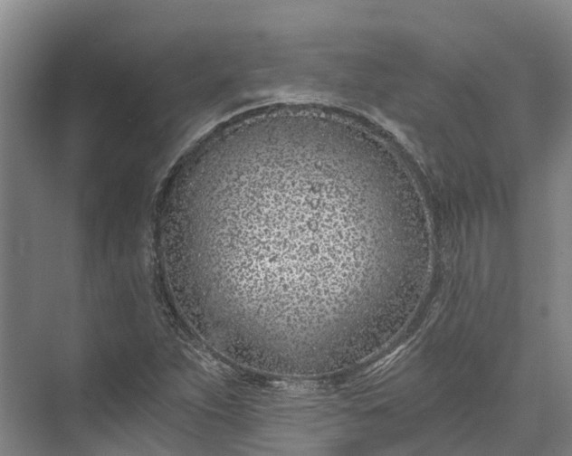 X0000072951263200608041258