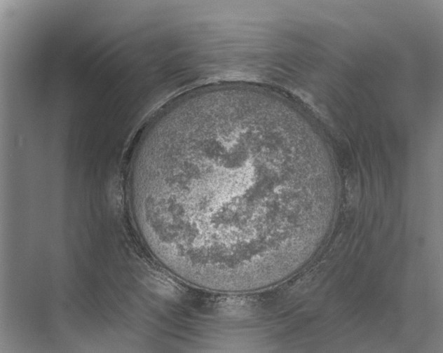 X0000072951266200608041258