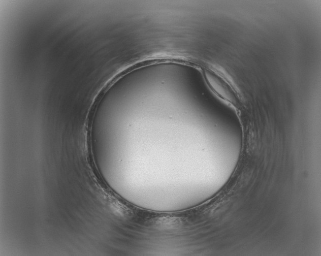 X0000072951268200608041258