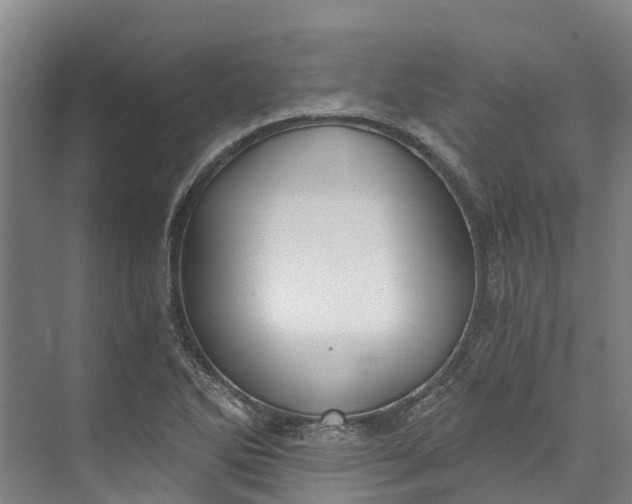 X0000072951270200608041258