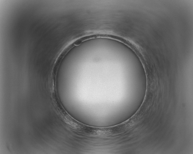 X0000072951271200608041258