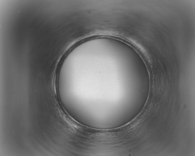 X0000072951272200608041258