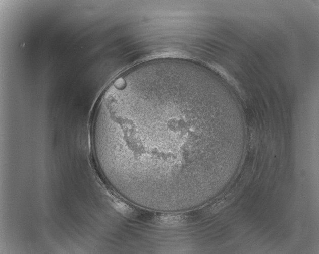 X0000072951274200608041258