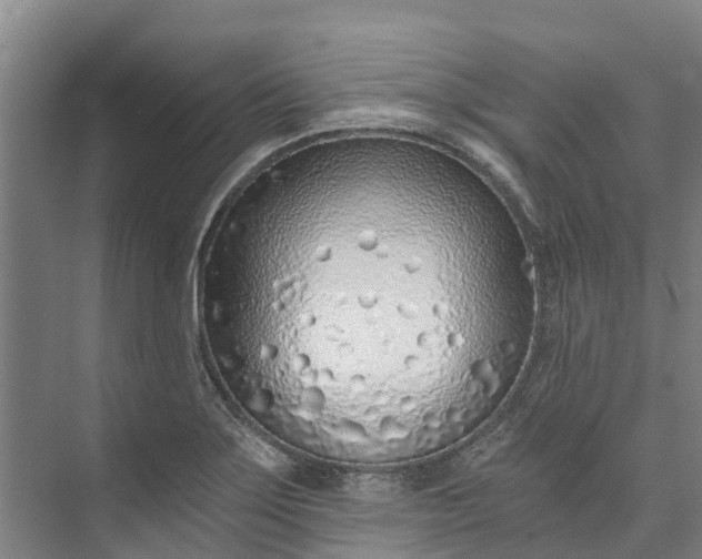 X0000072951275200608041258