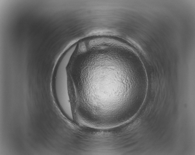 X0000072951277200608041258