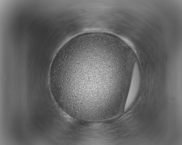 X0000072951279200608041258