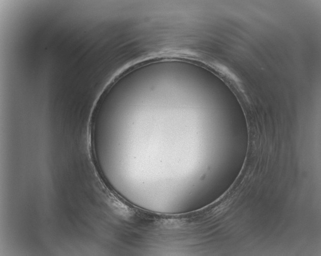 X0000072951280200608041258