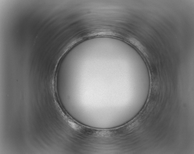 X0000072951282200608041258