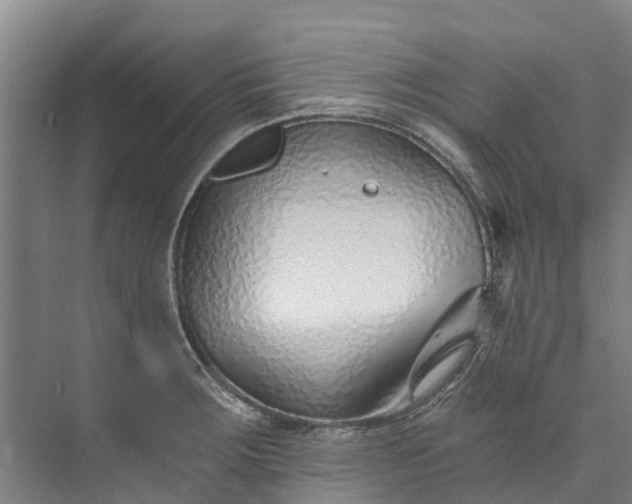 X0000072951283200608041258