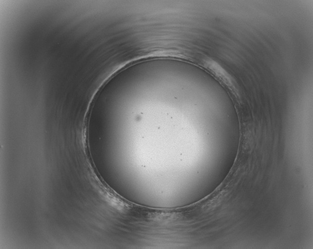 X0000072951284200608041258