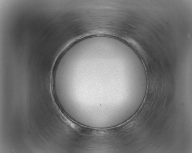 X0000072951286200608041258