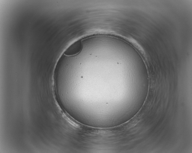 X0000072951287200608041258