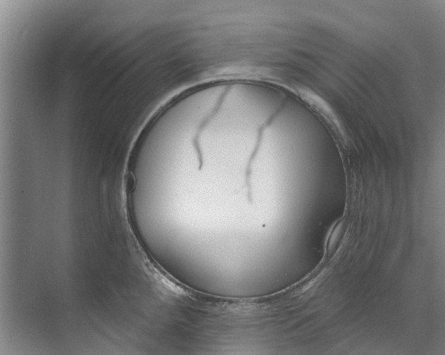 X0000072951288200608041258