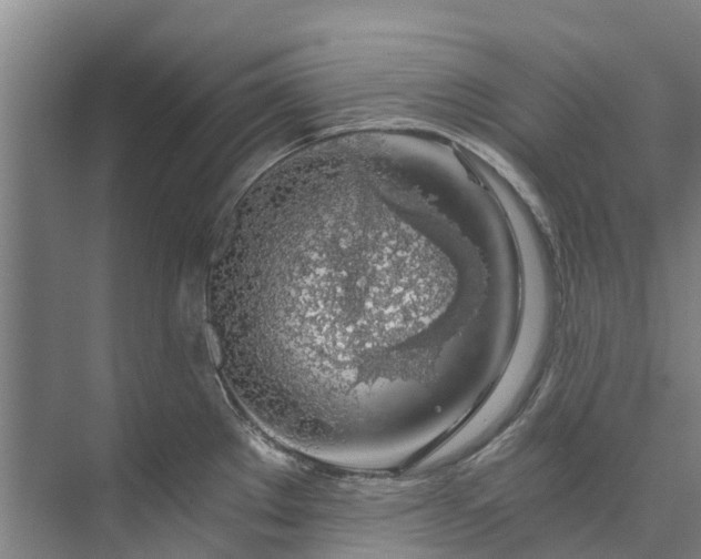 X0000072951289200608041258