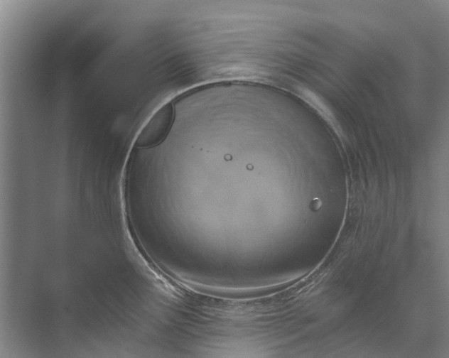 X0000072951291200608041258