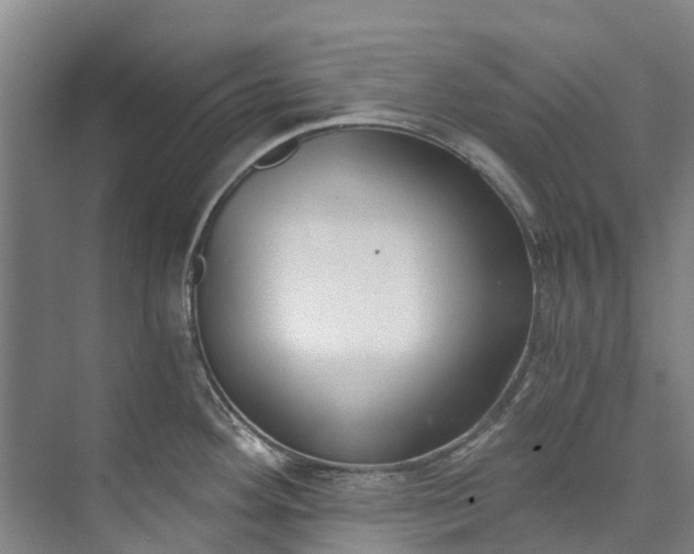 X0000072951292200608041258