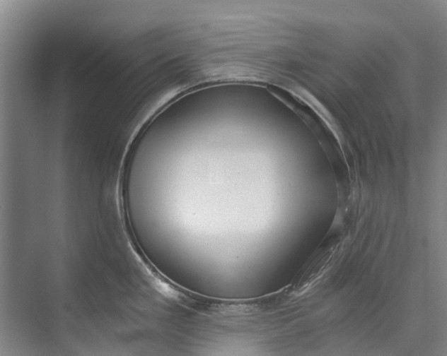 X0000072951293200608041258