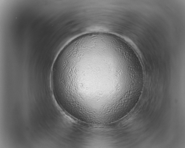 X0000072951295200608041258