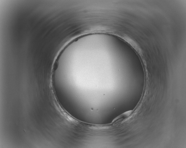 X0000072951296200608041258