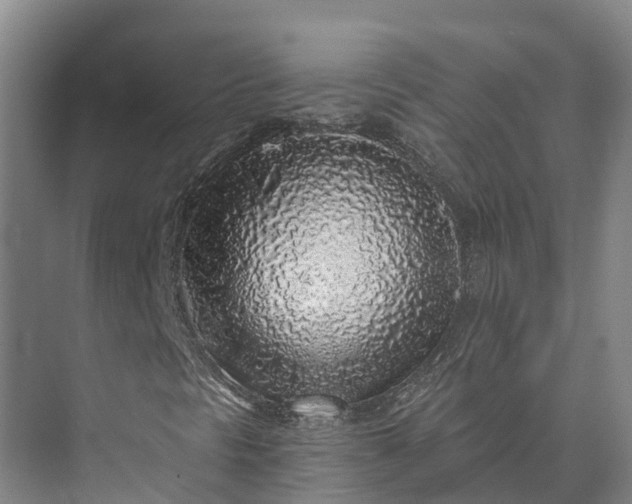 X0000072951297200608041257