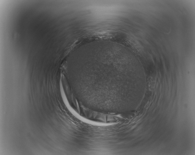 X0000072951298200608041257