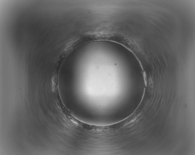 X0000072951300200608041257