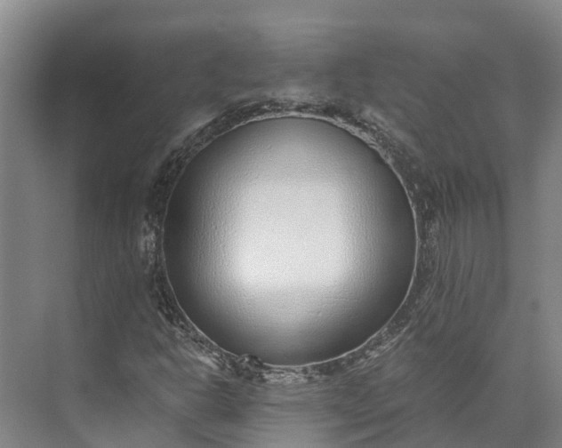 X0000072951302200608041257