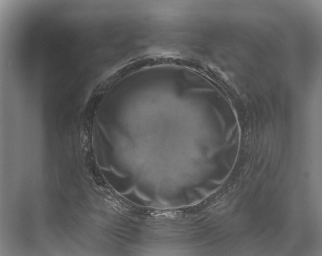 X0000072951303200608041257