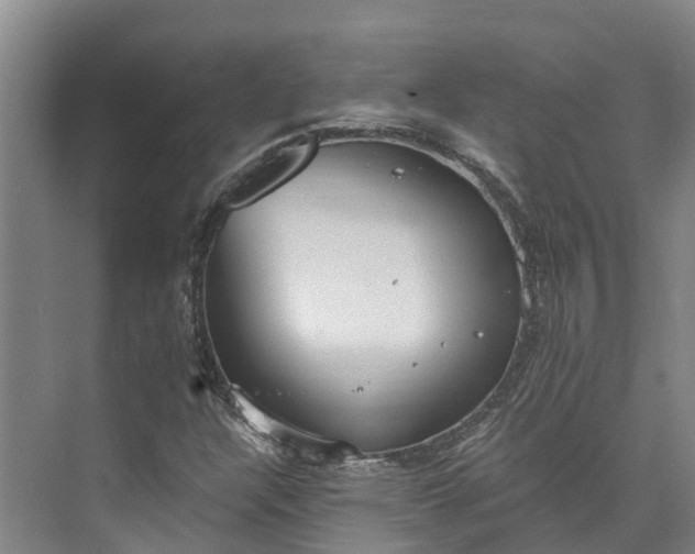 X0000072951304200608041257