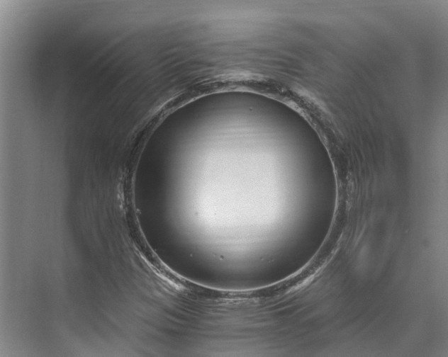 X0000072951305200608041257