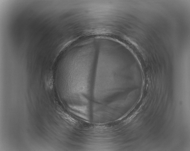 X0000072951306200608041257