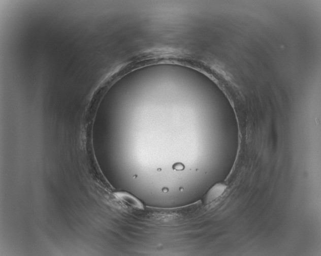 X0000072951309200608041257