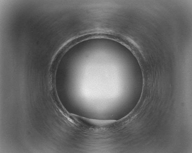 X0000072951310200608041257