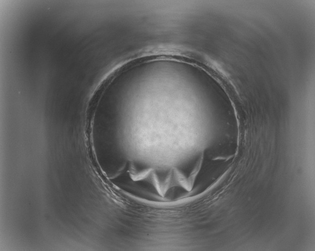 X0000072951312200608041257