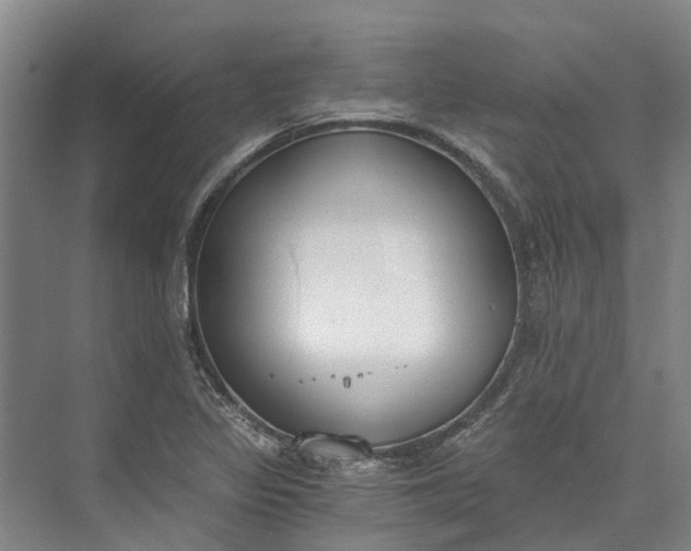 X0000072951317200608041257