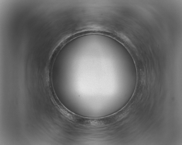 X0000072951318200608041257