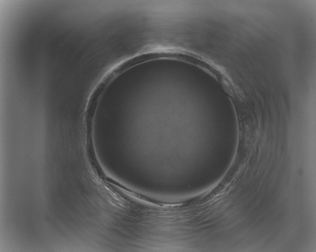 X0000072951319200608041257