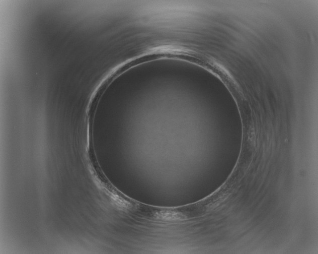 X0000072951323200608041257