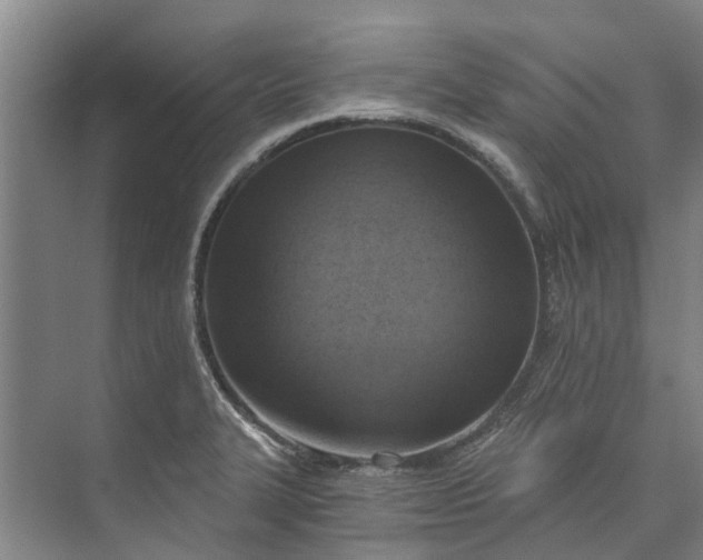 X0000072951327200608041257