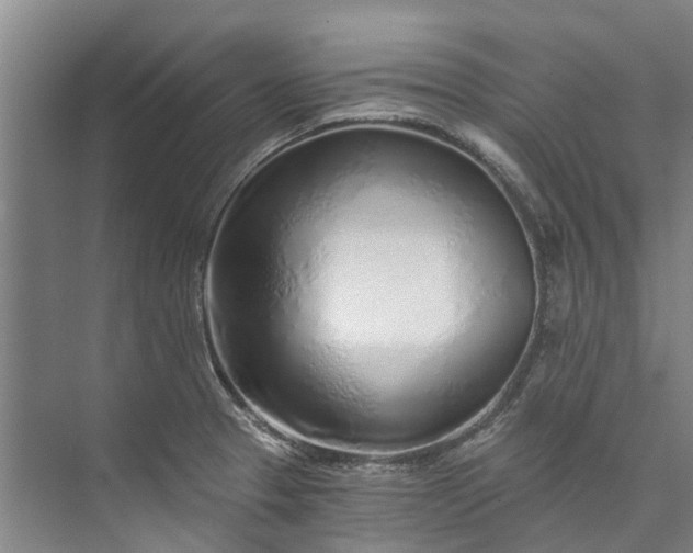 X0000072951329200608041258