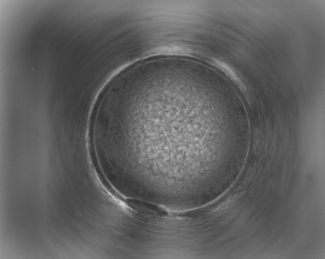 X0000072951331200608041258