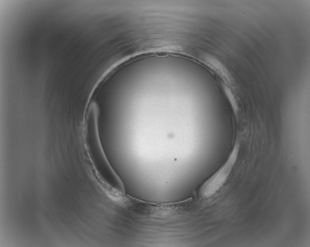 X0000072951332200608041258