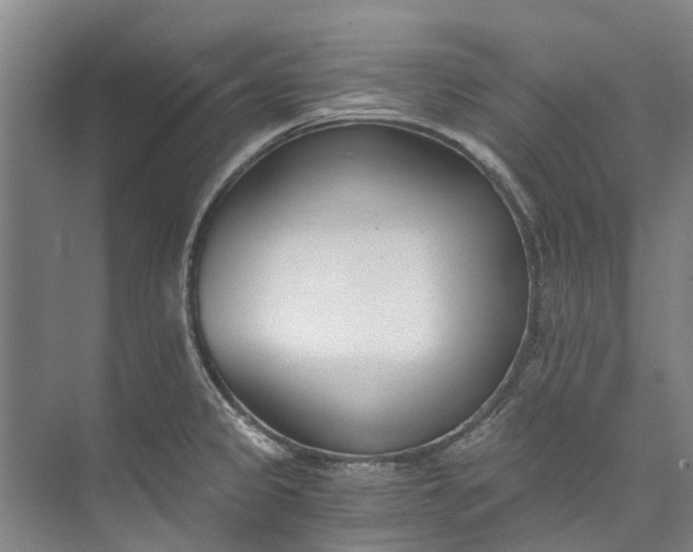 X0000072951333200608041258