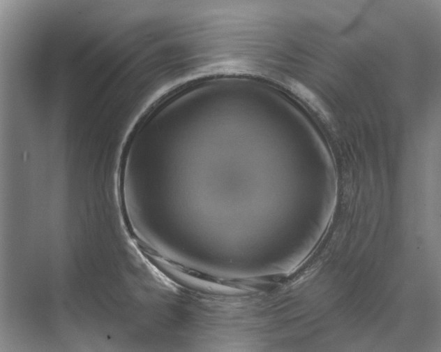 X0000072951334200608041258